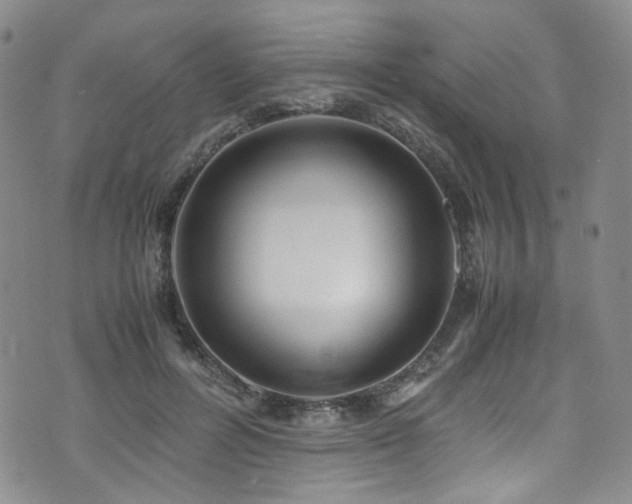 X0000072500600200607141131