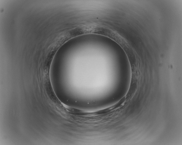 X0000072500601200607141131