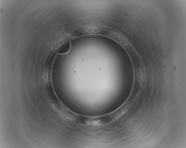 X0000072500602200607141131