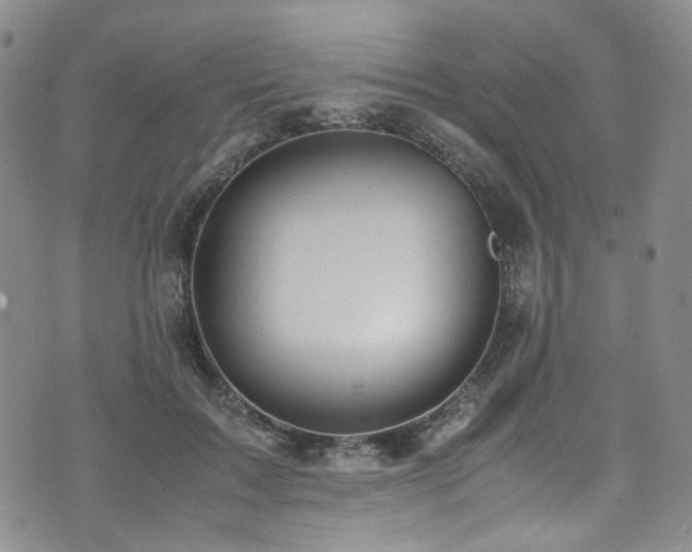 X0000072500603200607141131