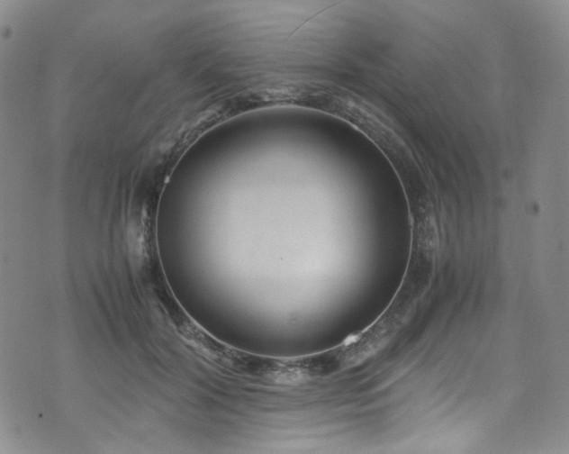 X0000072500604200607141131