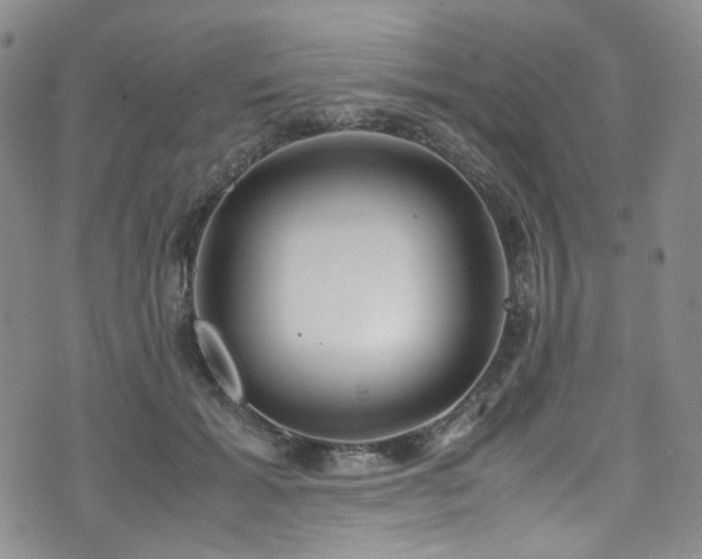 X0000072500605200607141131