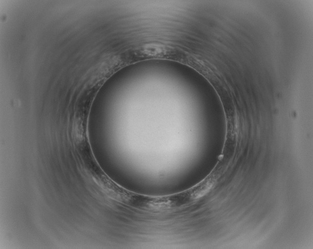 X0000072500606200607141131