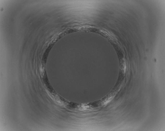 X0000072500607200607141131