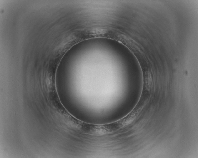 X0000072500608200607141131