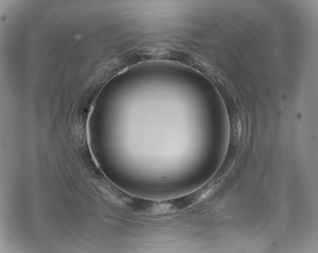 X0000072500609200607141131