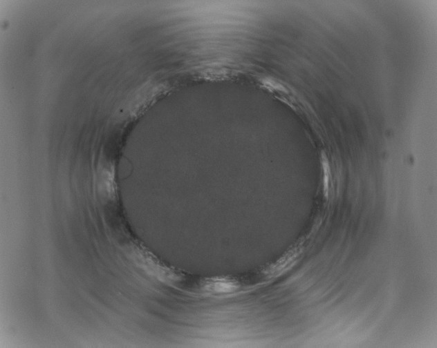 X0000072500610200607141131