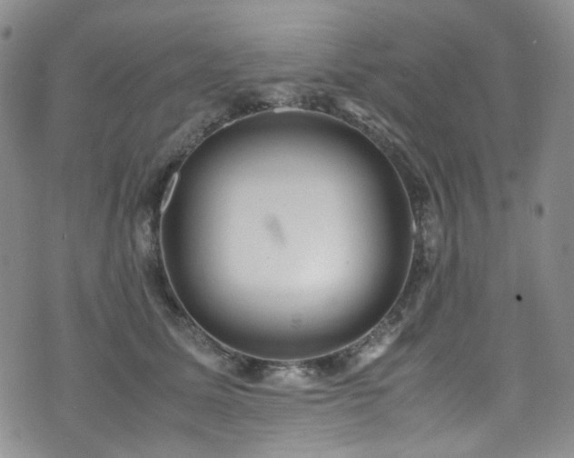 X0000072500611200607141131