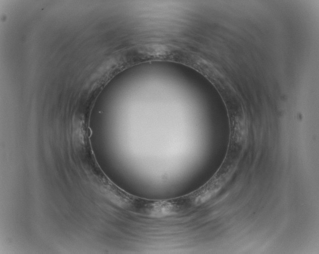 X0000072500612200607141131