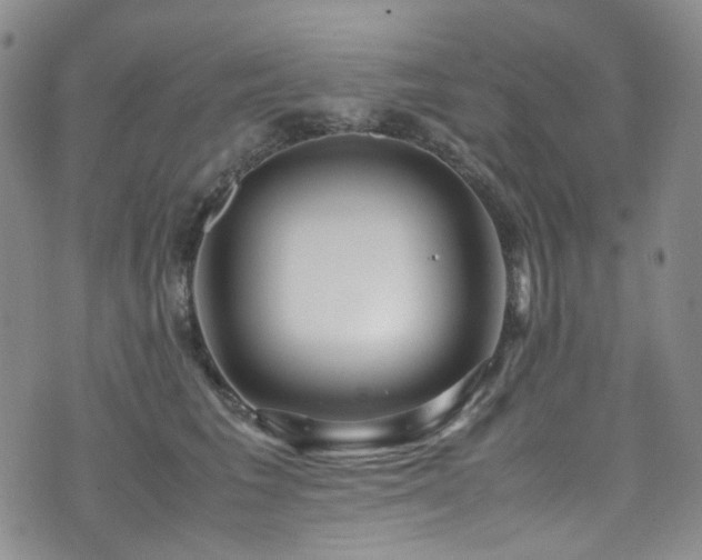 X0000072500613200607141131