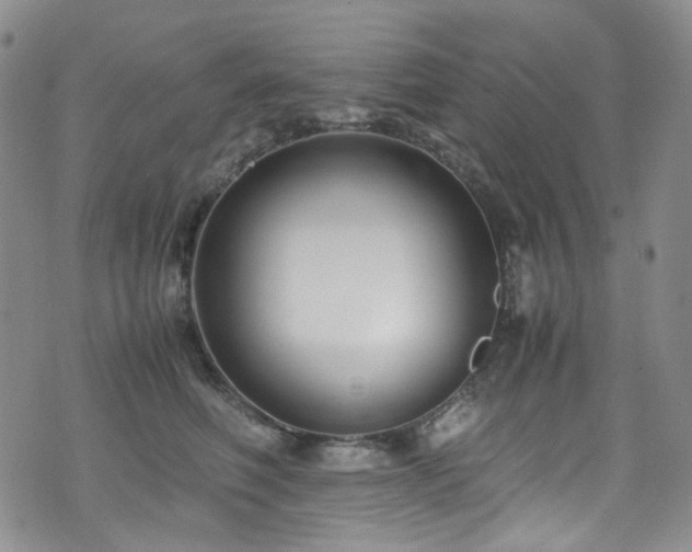 X0000072500614200607141131