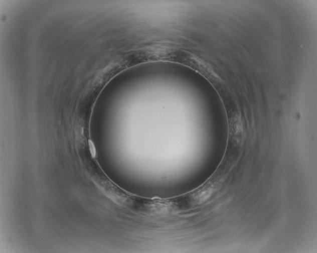 X0000072500615200607141131