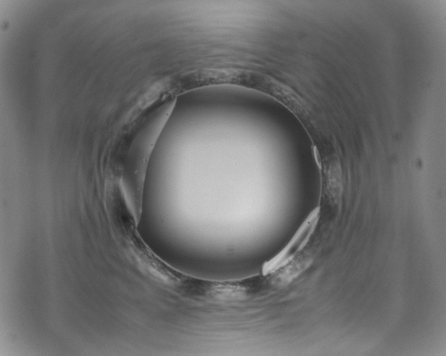 X0000072500617200607141131