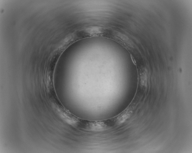 X0000072500618200607141131