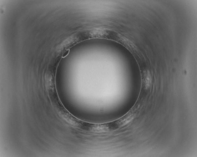 X0000072500619200607141131