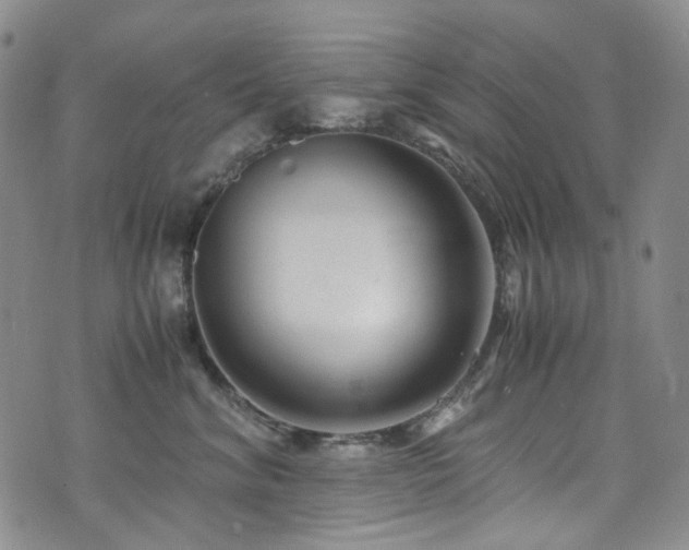 X0000072500620200607141131