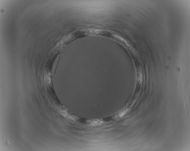 X0000072500621200607141131