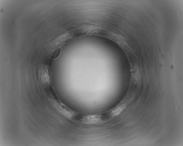 X0000072500622200607141131