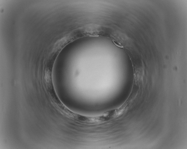 X0000072500623200607141131