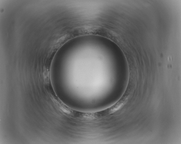 X0000072500624200607141131