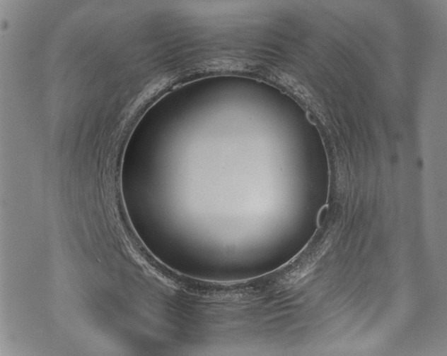 X0000072500625200607141130