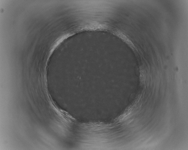 X0000072500626200607141130