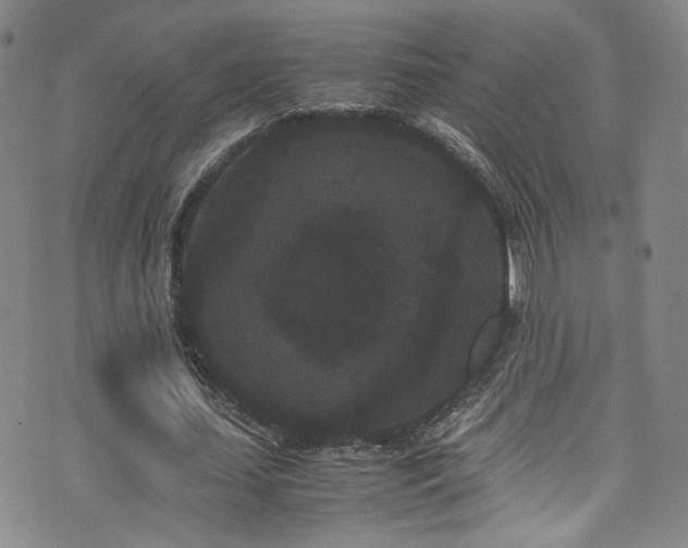 X0000072500627200607141130