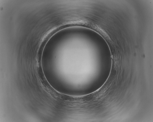 X0000072500628200607141130