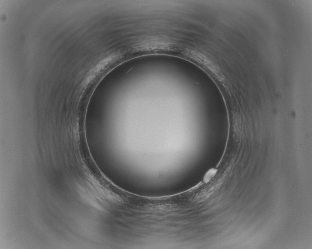 X0000072500629200607141130