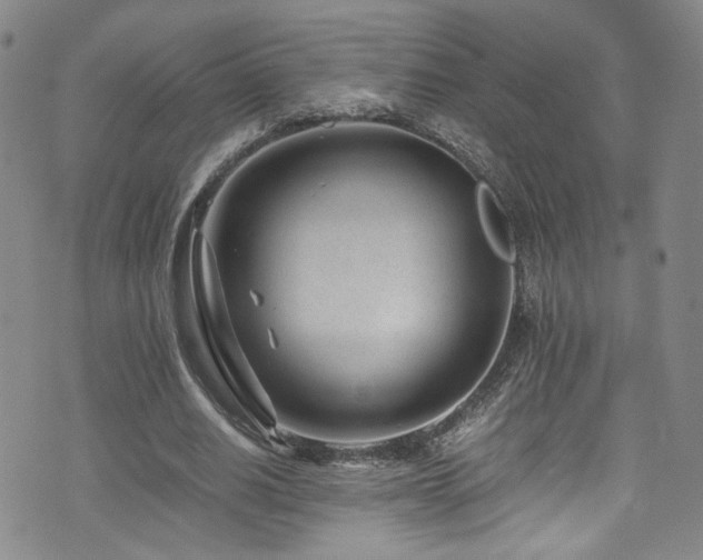 X0000072500630200607141130