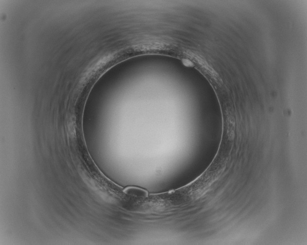 X0000072500631200607141130