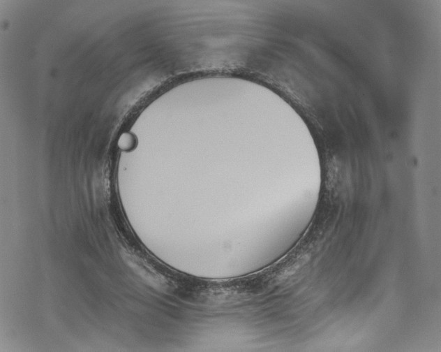 X0000072500632200607141130