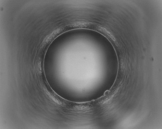 X0000072500633200607141130