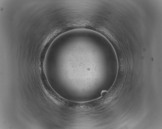 X0000072500634200607141130