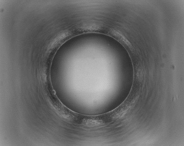 X0000072500635200607141130