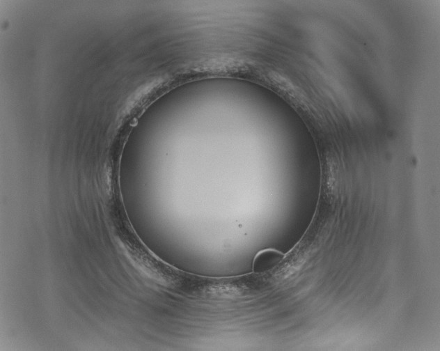 X0000072500636200607141130