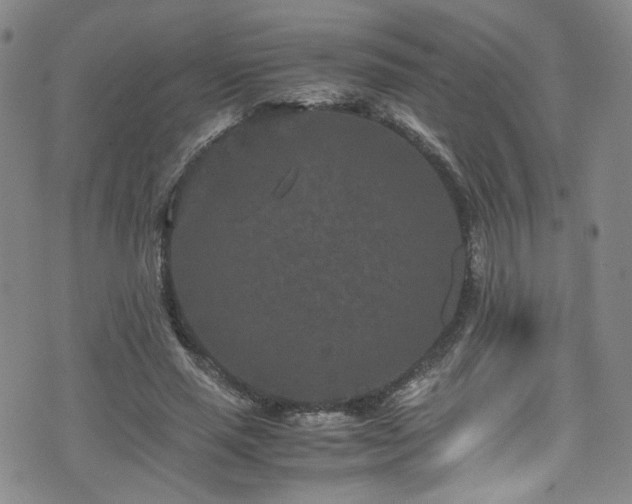 X0000072500637200607141130