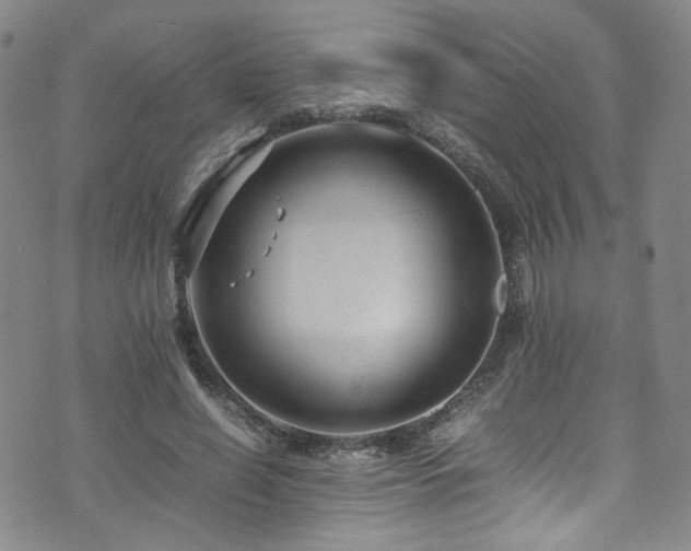 X0000072500638200607141130