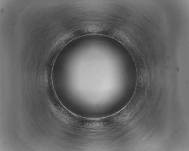 X0000072500639200607141130