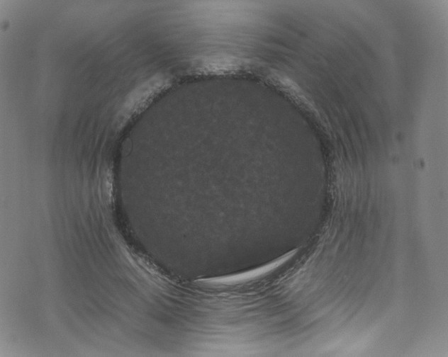 X0000072500640200607141130