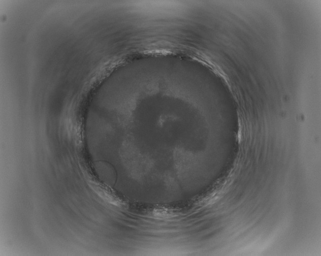 X0000072500641200607141130