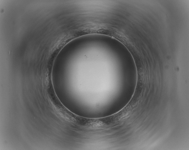 X0000072500642200607141130