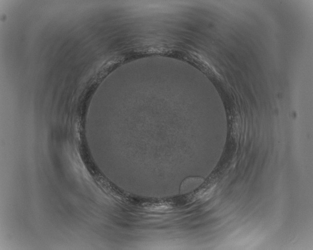 X0000072500643200607141130