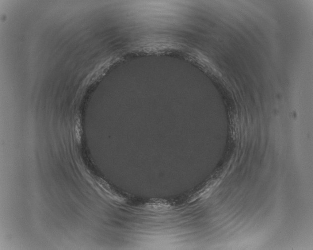 X0000072500644200607141130