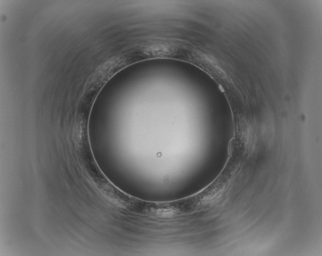 X0000072500645200607141130