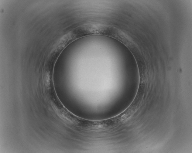 X0000072500646200607141130