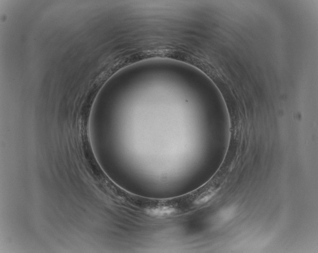 X0000072500647200607141130