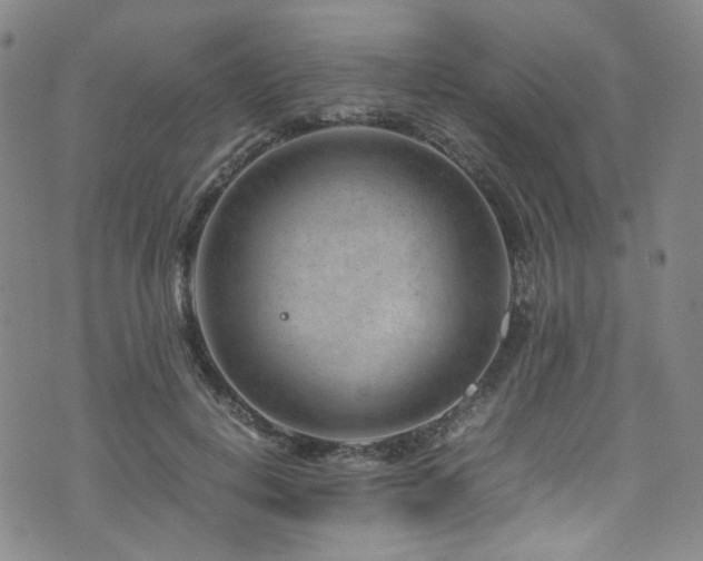 X0000072500648200607141131