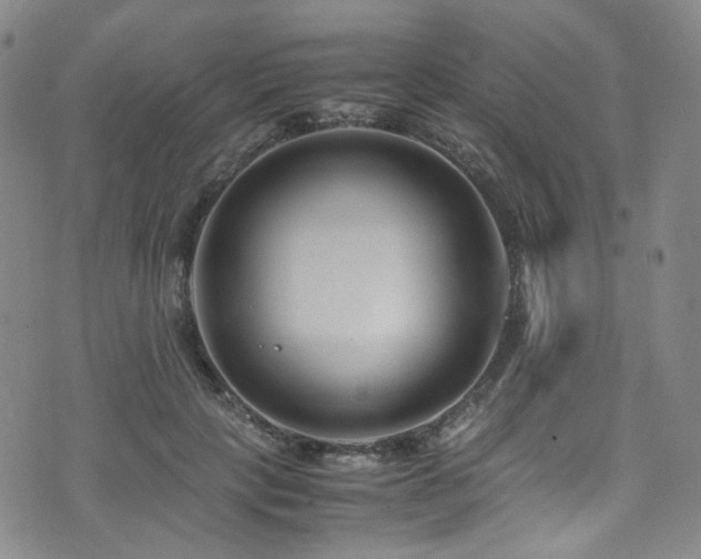 X0000072500649200607141131