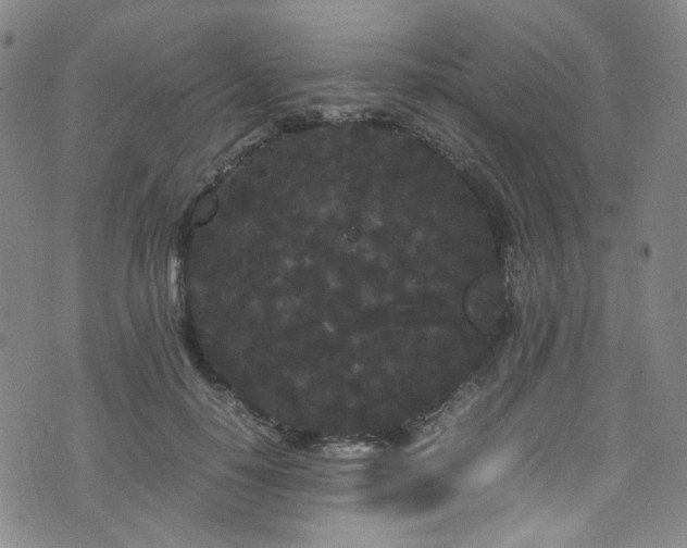 X0000072500650200607141131